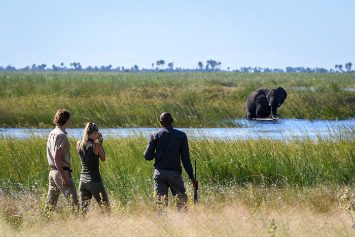Why Botswana is Africa’s most exclusive safari