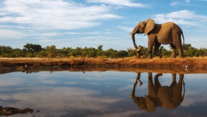 Botswana Tourism Investment Summit start this morning