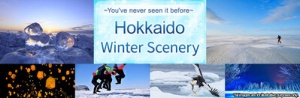 This Winter, Head to Japan!