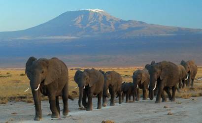 Cruzeiro Safaris Kenya Presents: Nairobi Unveiled – Unforgettable Luxury Safaris & Tours,