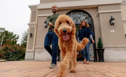 K9 Resorts Marks 20-Year Anniversary with Celebratory Event; Commemorates Two Decades of Excellence