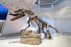 His Highness Sheikh Khaled bin Mohamed bin Zayed Al Nahyan inaugurates Natural History Museum UAE