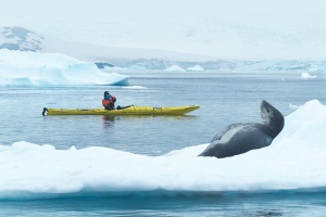 Quark Expeditions Announces Sizzling Summer Specials—Up to 30% Off, Plus Solo Deals!