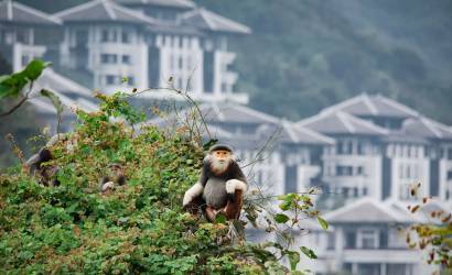 InterContinental Danang Sun Peninsula Resort appoints resident zoologist