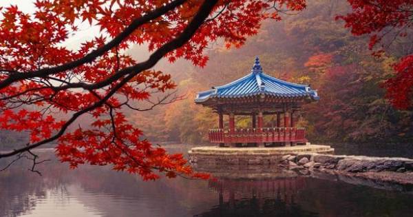 Demand for South Korea Holidays Rises 167% as Autumn Foliage Season Gets Underway
