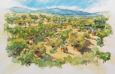 San Diego Zoo Safari Park Announces Elephant Valley, Largest Transformative Project in 50-years