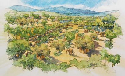 San Diego Zoo Safari Park Announces Elephant Valley, Largest Transformative Project in 50-years