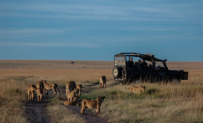 Booking to top Nairobi attractions made easy by Cruzeiro Safaris Kenya
