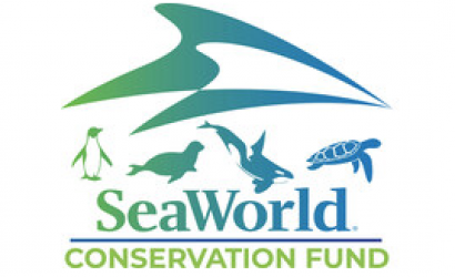 SeaWorld Conservation Fund Celebrates 20 Years of Marine Animal Conservation