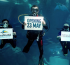 SeaWorld Abu Dhabi to open on Yas Island in May
