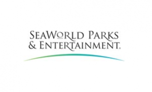 SeaWorld Entertainment Names Marisa Thalberg as Chief Marketing and Communications Officer