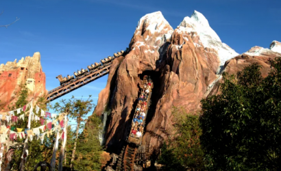 Disney’s Animal Kingdom Theme Park Celebrates 25 Years Showcasing the Magic of Nature