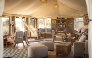 Wild Wakati Camp: Where Wine Meets Wilderness in the heart of the Serengeti
