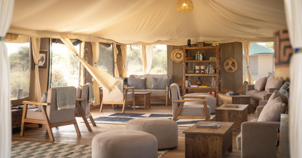 Wild Wakati Camp: Where Wine Meets Wilderness in the heart of the Serengeti
