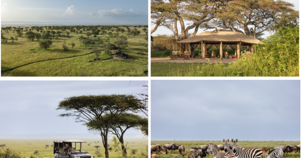 Auberge Safari expands its portfolio with the grand opening of Mwiba Plains