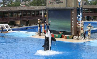 SeaWorld Entertainment to end orca breeding programme