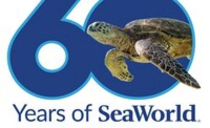 SeaWorld Unveils 60th Anniversary Celebration Plans for 2024