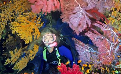 Divers Are Saving the Ocean by Plunging with Sharks, Diving 60 Feet into the Dark at 11 PM