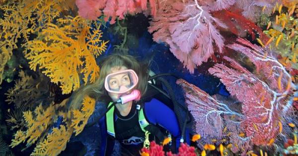 Divers Are Saving the Ocean by Plunging with Sharks, Diving 60 Feet into the Dark at 11 PM