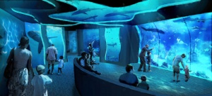 SeaWorld San Diego’s All-New Shark Encounter - Opens May 22 with New Species