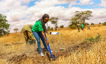 TUI Care Foundation expands TUI Forest projects in Zanzibar, Kenya and Gran Canaria
