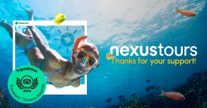 NexusTours shines with Tripadvisor® Travelers’ Choice Award 2024 across multiple destinations