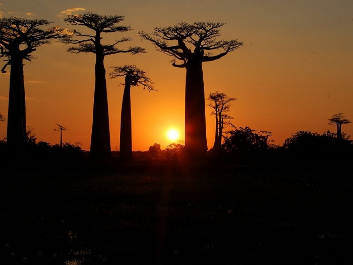 Cactus Tours Madagascar: Discovering the Island Through Local Eyes