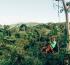 Costa Rica Sees Rising Travel Demand as Travelers Seek Nature and Adventure-Focused Vacations