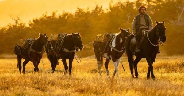 Guardians of Patagonian Cowboy Culture Invite Guests to Ride, Learn and Heal During the Year of the