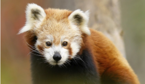 Earth Day, Rethinking Travel: Where Impact Meets Experience