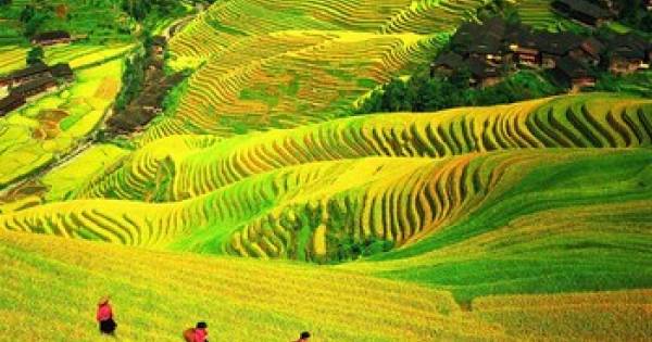 Trip.com Group Spotlight Guilin as Demand Grows for Experiential & Cultural Travel in China