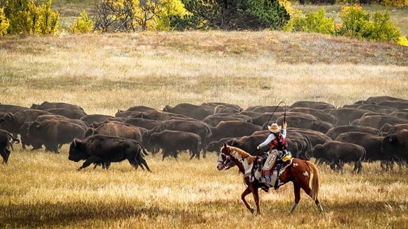 Journeyscape Unveils Brand-New North America Adventures for 2026