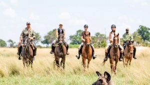 A New Direction for the Okavango Delta: Okavango Horse Safaris Launches Artist-Led Retreats
