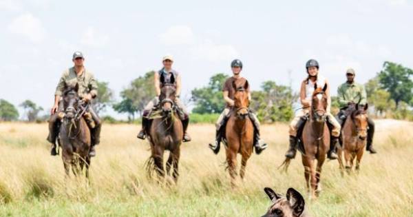 A New Direction for the Okavango Delta: Okavango Horse Safaris Launches Artist-Led Retreats
