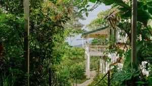 Hadco Experiences Welcomes Visitors to Explore a New Side of Trinidad and Tobago