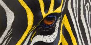 Yellow Zebra Safaris: Crafting Dreams into Reality