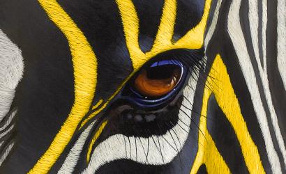 Yellow Zebra Safaris: Crafting Dreams into Reality