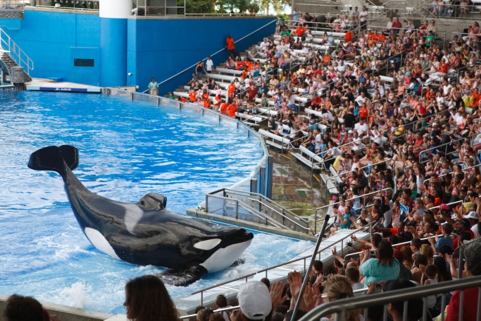 Your Co-op Travel latest to stop selling SeaWorld tickets