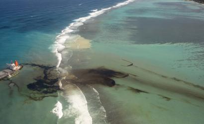 Fears grow Mauritius oil spill could permanently damage environment