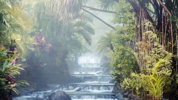 Tabacón Unveils ‘Sensory Luxury’, a Nature-Led Approach to Wellbeing in Costa Rica