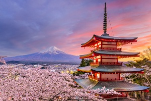 Japan to reopen to independent travelers