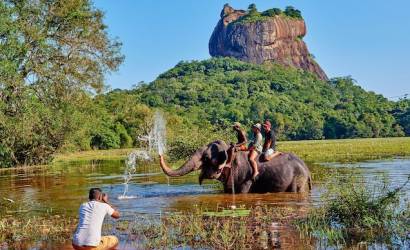 Global Wildlife Tourism Market is Estimated to be Valued at US$ 135 Bn in 2022