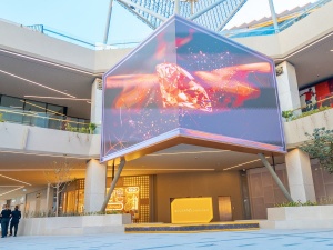 96 Hours in Riyadh, SA