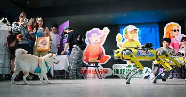 Singapore Tourism Board and Mafengwo Jointly Launch “Singapore AI Inspiration Lab”