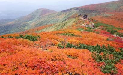 A Must See! The spectacular autumn leaves of Tohoku and Niigata are a beautiful sight to behold