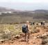 Walk the Rock With Lanzarote Retreats, from the Cliffs to the Vineyards