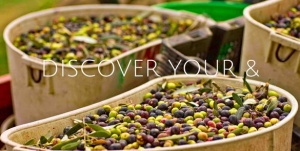 Sonoma County Tourism Launches “Discover Your &” Consumer Marketing Campaign