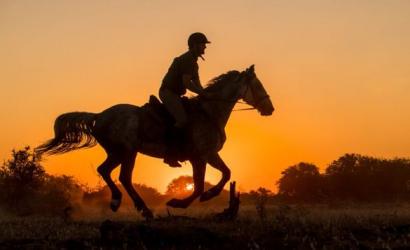 Discover the Ultimate Equestrian Adventure with African Horse Safaris