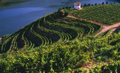 Visit Portugal’s New Campaign: It’s not tourism. It’s futourism.