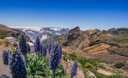 Madeira Set for Historic Year After Securing Global Golf and Travel Awards Double